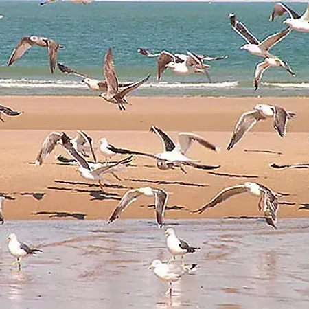 Avec Piscine Partagee A 36 M²