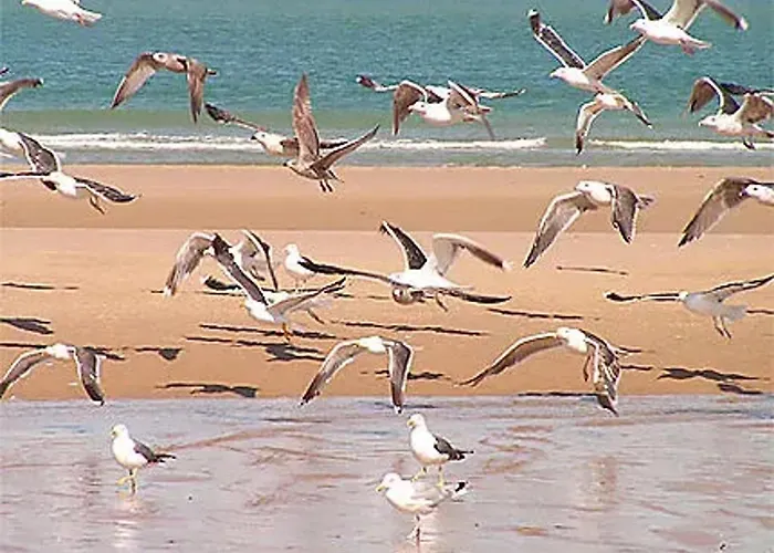 Avec Piscine Partagee A 36 M²